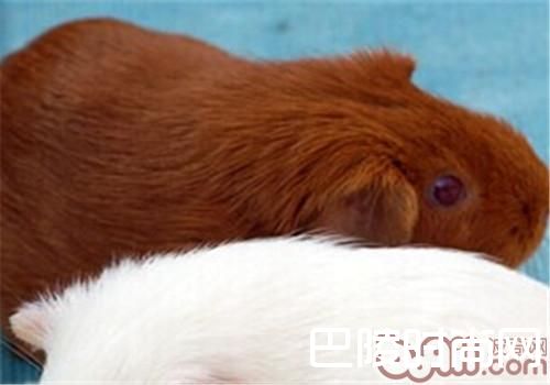 2222_副本.jpg 2222_副本.jpg