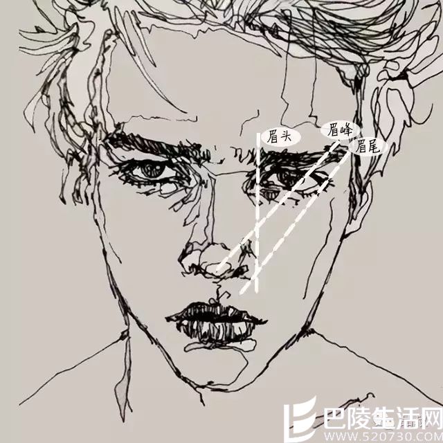 找准眉毛的形状