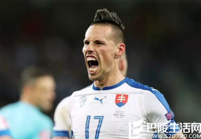 莫西干头的哈姆西克