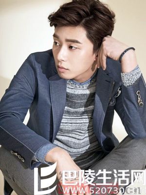 男明星发型设计