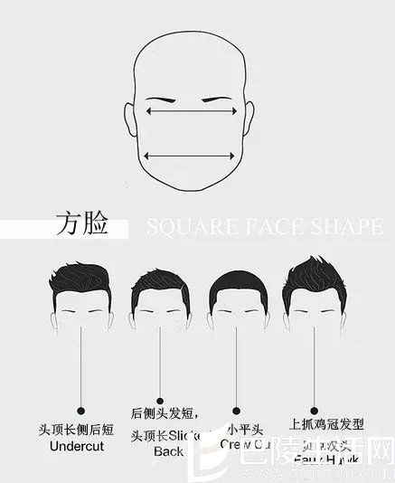 SQUARE FACE SHAPE SQUARE FACE SHAPE