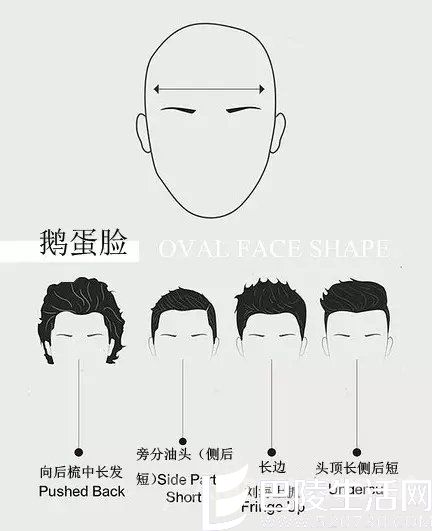 OVAL FACE SHAPE OVAL FACE SHAPE