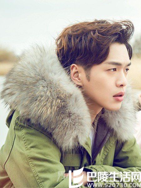 十五年等待候鸟