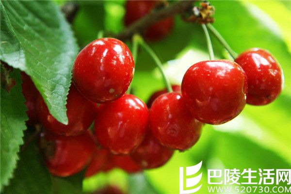 ӣ��.jpg ӣ��.jpg