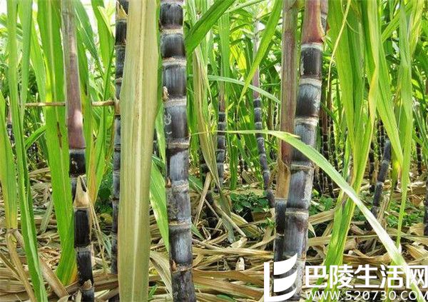 ����_����.jpg ����_����.jpg