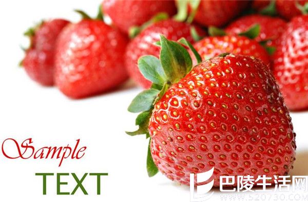 ��ݮ_����.jpg ��ݮ_����.jpg