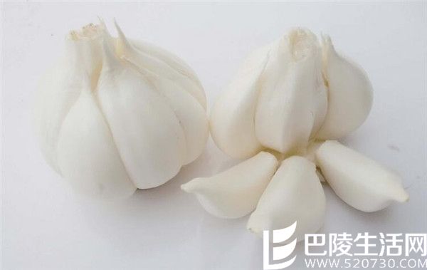 ����_����.jpg ����_����.jpg