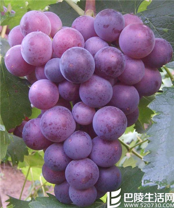 ����_����.jpg ����_����.jpg