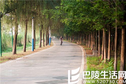 6619213930839455552.jpg 6619213930839455552.jpg