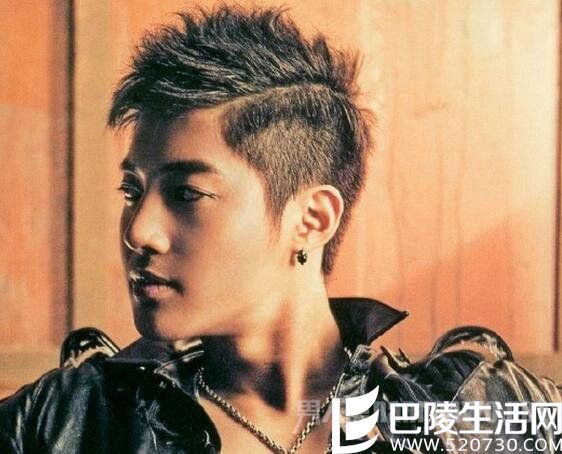 朋克摇滚发型 朋克摇滚发型