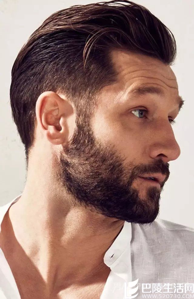 猫王蓬巴杜发型