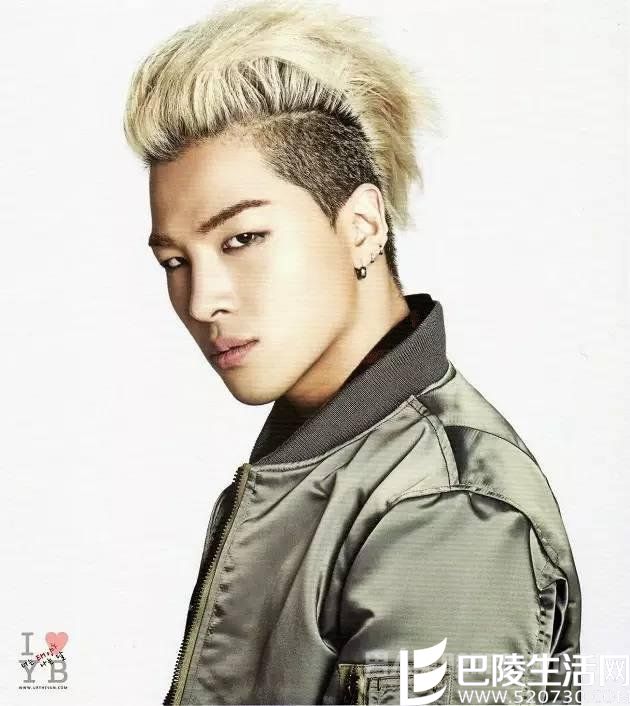 太阳庞毕度发型