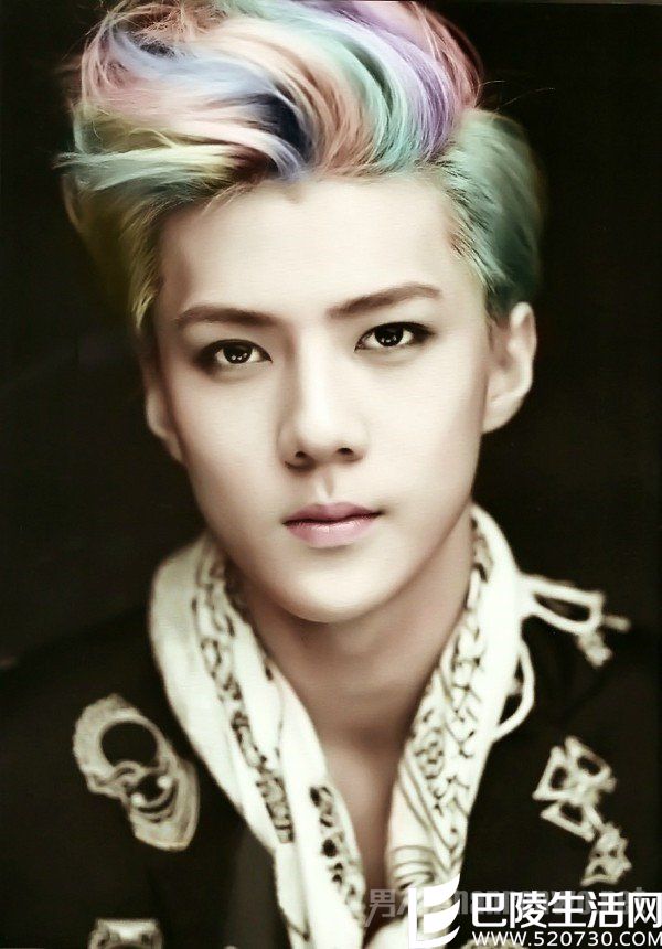 彩色庞毕度发型