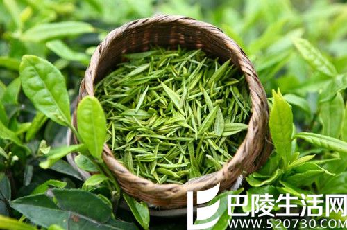 20140403093825425.jpg 20140403093825425.jpg