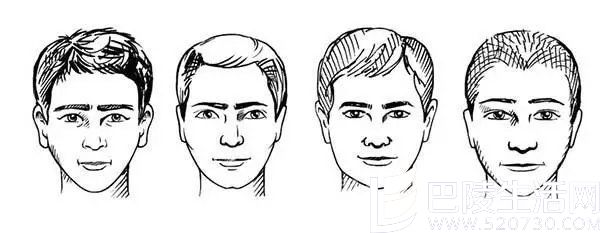 尖型与圆型脸