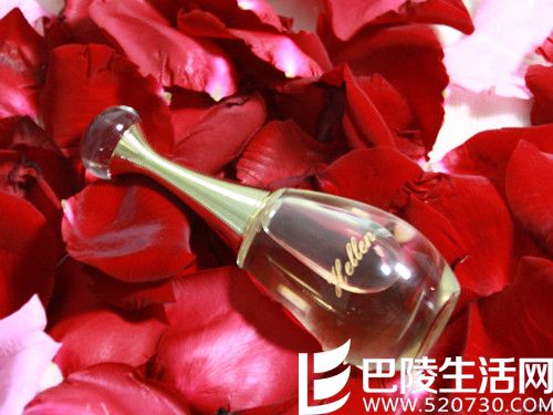 photo_2562701.jpg photo_2562701.jpg