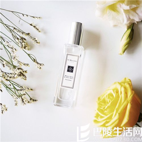 22222232.jpg 22222232.jpg