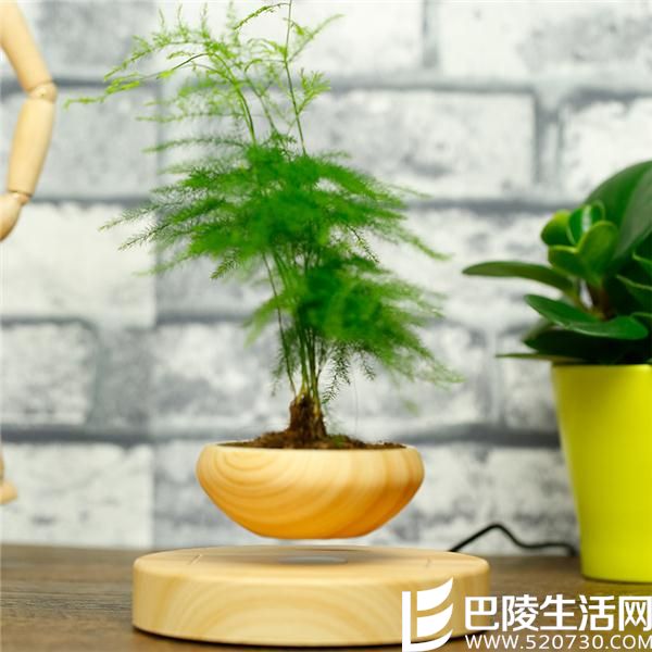 d3d15de9c977bece511.jpg d3d15de9c977bece511.jpg