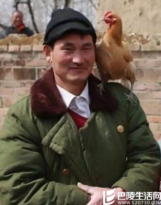 农民既视感 农民既视感