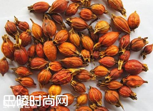 胃热湿阻型体质中药调理_肥胖也分种类 中医告诉你如何针对性解决肥胖