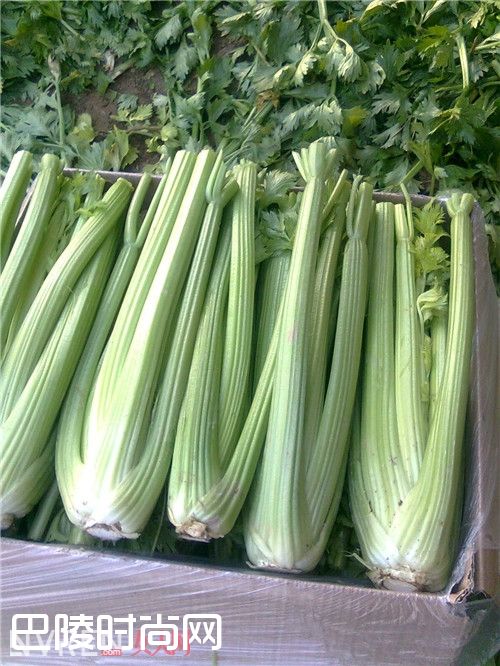 瘦脸食物有哪些_怎么快速瘦脸 帮你摆脱大饼脸有窍门