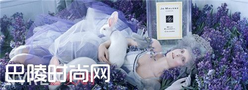 Jo Malone Orange Blossom橙花简介_Jo Malone祖马龙香水明星产品有哪些 你最中意哪一款