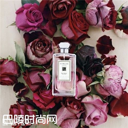 祖马龙RED ROSE红玫瑰香水简介_Jo Malone祖马龙香水明星产品有哪些 你最中意哪一款