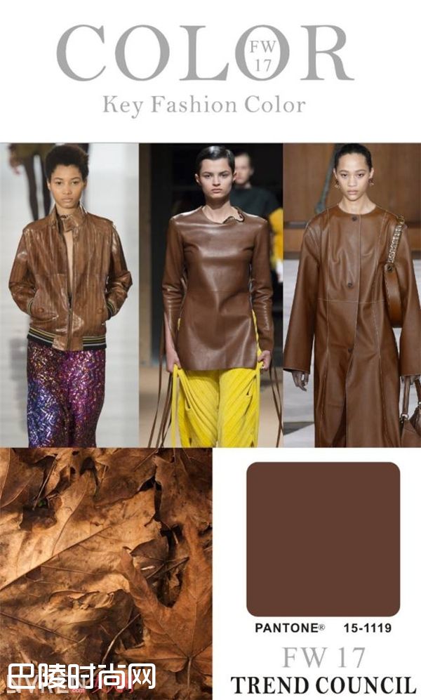 深棕色_2017年秋冬十大流行色发布 入时穿搭就靠这一色