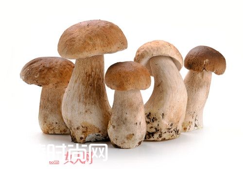 蘑菇能美白吗_美白