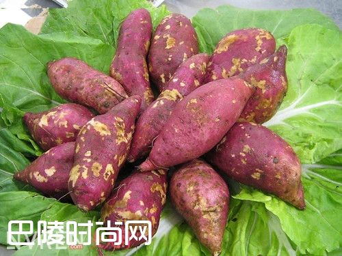 红薯的减肥效果_jianfei