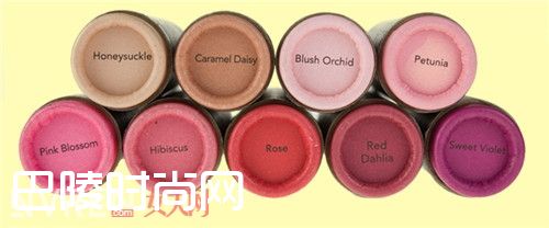 Burt's bees涂鸦口红唇膏简介_哪些牌子的口红可以吃 值得推荐的唇膏有哪些