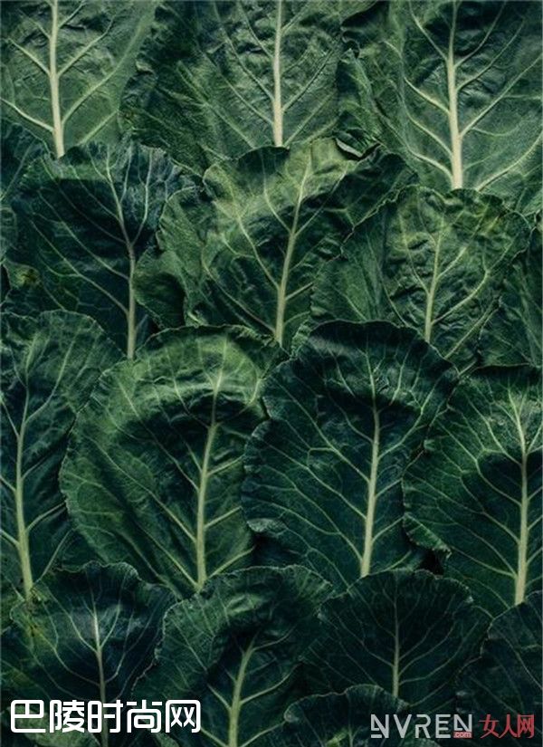 羽衣甘蓝食谱_逢年过节胖三斤 十种刮油食物让你吃不胖