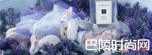 Jo Malone 蓝风铃香水简介_鬼怪约会香水成爆款 你用了这些香水也让男人刻骨铭心