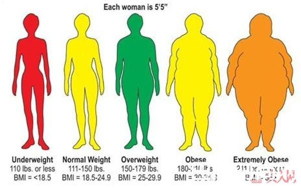 体重不超标不等于健康_打算开始减肥的你 需要知道的十件事情