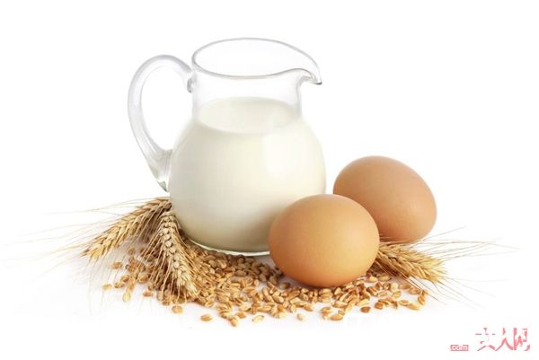 蛋白质提高作用_打算开始减肥的你 需要知道的十件事情