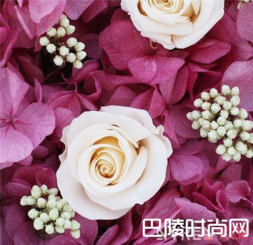 Etude House Dear My Blooming Lips Talk Chiffon唇膏简介_美的极致！盘点4款冬季大热「干燥花色」唇膏