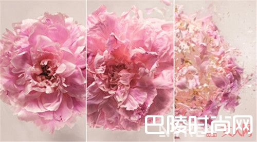 Miss Dior花漾淡香氛介绍_香氛也要换季 安利几款颜控清新香氛