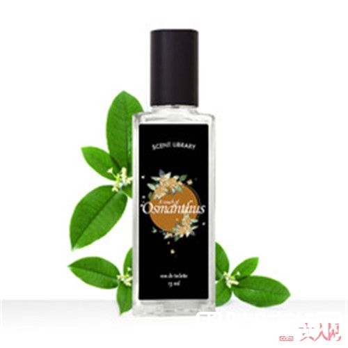 SCENT LIBRARY花觉系列桂花淡香水_“花”开万点黄 让我微醺在桂花香氛中