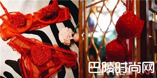 Frederick‘s of Hollywood简介_入手这4个bra品牌 就算有人拿小拳拳捶你的小胸口也不怕！