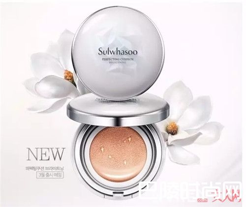 雪花秀气垫介绍_韩国药妆品牌雪花秀最热销的产品 你都用过吗?