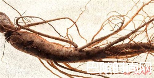 雪花秀品牌介绍_韩国药妆品牌雪花秀最热销的产品 你都用过吗？