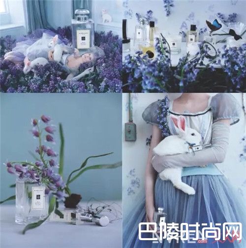 Wild Bluebell 蓝色风铃草香水简介_10款春天气息的香水 带你走进草长莺飞三月