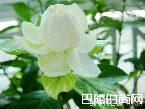 Un Matin d'Orage 雨后清晨香水简介_10款春天气息的香水 带你走进草长莺飞三月