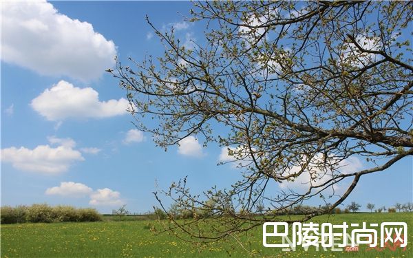 春天约会穿什么_春天第一次约会这样穿 让男友或老公欲罢不能