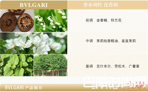 宝格丽茉香女士香水简介_哪10款神秘东方调香水能散发危险女人味