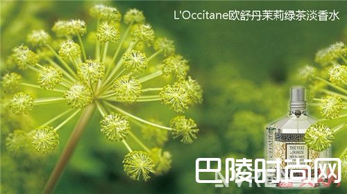 l’occitane欧舒丹茉莉绿茶淡香水简介_哪10款神秘东方调香水能散发危险女人味