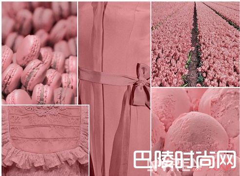Antique Rose玫瑰粉_2017年春夏女装十大流行色 总有一款适合你