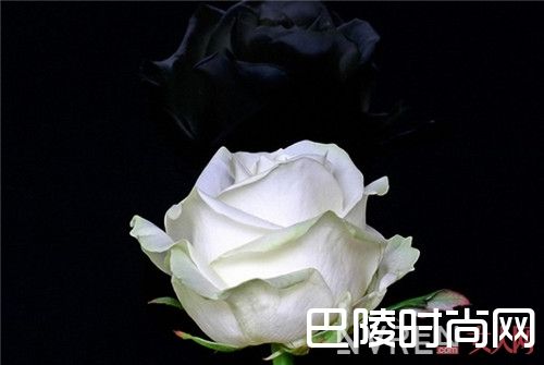 几点吃钙片对睡眠有帮助_春季排毒养颜的方法 掌握黄金时刻一身轻松