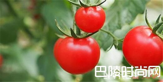 西红柿_夏天将至 十大消暑减肥食品助你度过炎热夏季