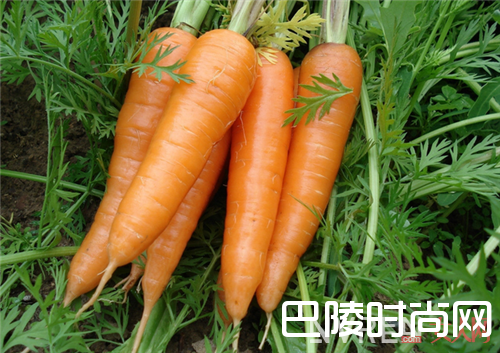 胡萝卜对皮肤有什么效果_美白护肤的蔬菜有哪些？皮肤不好多吃有效吗？